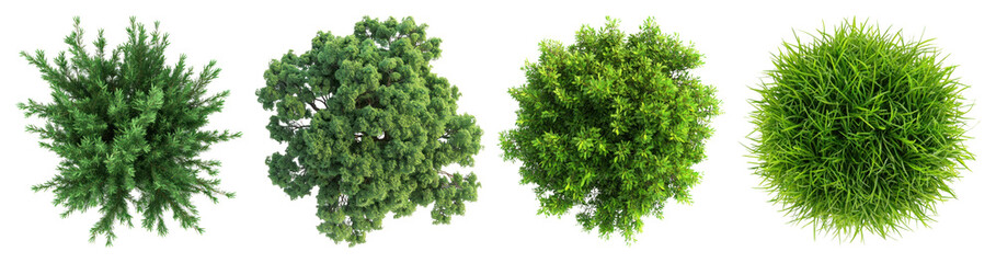 Obraz premium PNG Lush green bush elements PNG, element set on transparent background