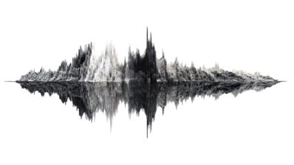 Abstract waveform graphic.  A grayscale audio visualization, akin to a sound wave, is prominently displayed.