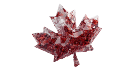 A stylized, 3D, crystalline maple leaf, deep crimson red with clear facets