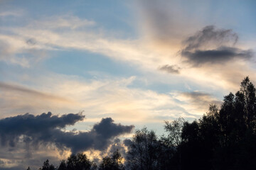 Dramatic sunset sky with yellow and blue clouds above dark tree silhouettes