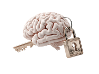 A light beige brain, key, and padlock
