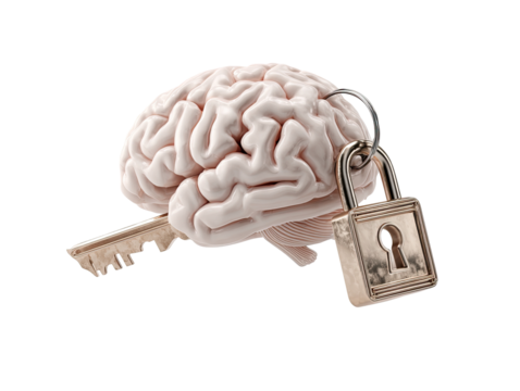 A light beige brain, key, and padlock
