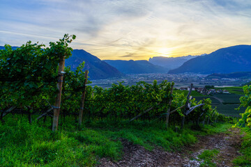 Eppan, Italy September 10, 2025 Beautiful landscape of Eppan/Appiano in South Tyrol.