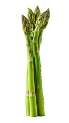 Fresh asparagus spears, bright green, vertical
