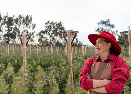 Latina farmer standing confidently with crossed arms, wearing red hat and brown apron among golden berry plantation, representing agricultural professionalism and rural success