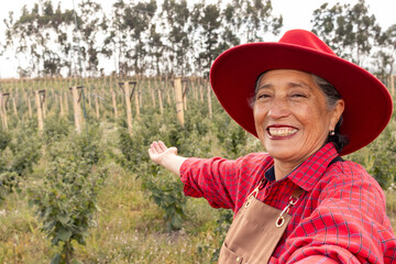 Elderly latina farmer standing in golden berry plantation, wearing red hat and apron, displaying agricultural pride with welcoming gesture
