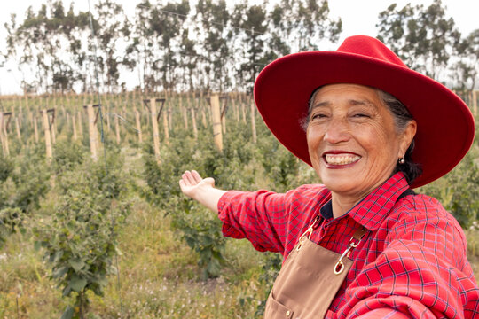 Elderly latina farmer standing in golden berry plantation, wearing red hat and apron, displaying agricultural pride with welcoming gesture