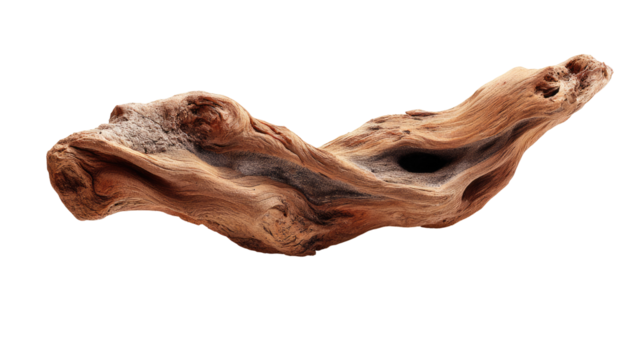 Driftwood piece, smooth and flowing curves, rich brown tones, natural textures
