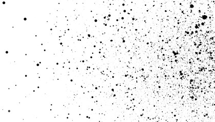 Abstract black ink splatter pattern on a white background, showcasing a dynamic and textured design.