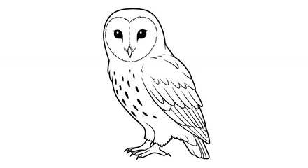 Line drawing of a barn owl isolated against a white background