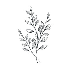 Elegant botanical design for home decor and greeting card ideas. Vector hand drawn illustration