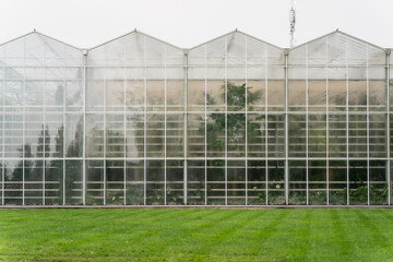 Obraz premium Large greenhouse structure with transparent glass panels and visible plant rows, representing agricultural engineering process, controlled cultivation, sustainable farming