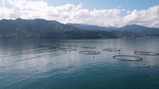Footage of fish ponds, the main form of aquaculture. Salmon, sea bass, sea bream and trout are the most commonly grown fish in fish ponds used for commercial fishing in the sea, lakes and ponds.