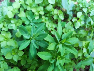 Amazing nature pictures