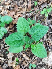 Amazing nature pictures