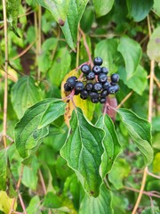 Amazing nature pictures