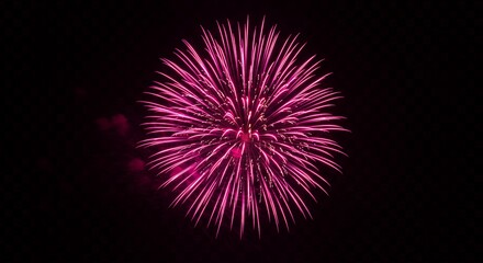 Vibrant burst of pink fireworks against a black background for celebration