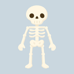 A Playful Cartoon Skeleton Character Standing Against a Light Blue Background, Perfect for Halloween Themes and Educational Materials on Anatomy.