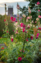 Fototapety na wymiar - Fototapeta24.pl