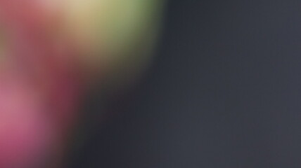 Abstract red pink green black color gradient background, with soft blur and ambient fade for ideal poster web banner header and backdrop design