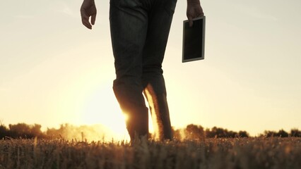 Farmer walking through wheat field in rubber boots, , agriculture, wheat field business strategies,...