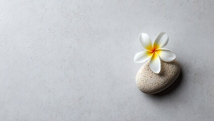A single plumeria flower rests atop a smooth stone.