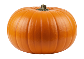 Isolated beautiful perfect ripe pumpkin ready for carving on Halloween or Thanksgiving feasts