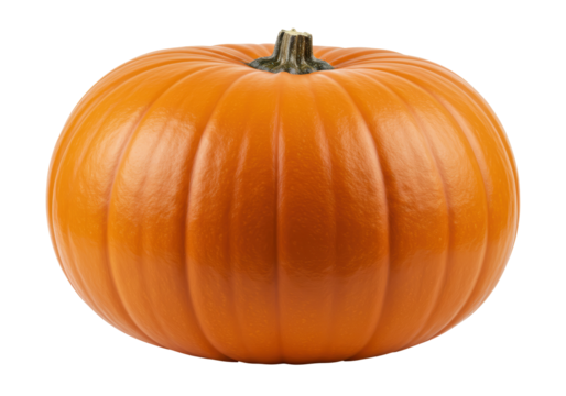 Isolated beautiful perfect ripe pumpkin ready for carving on Halloween or Thanksgiving feasts