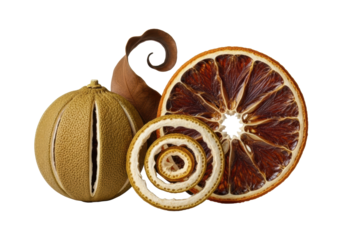 Desiccated ochre lime, dried dark orange slice, coiled citrus peel, and a curled brown leaf on a transparent background with copy space, showcasing intricate leathery textures. Concept of natural