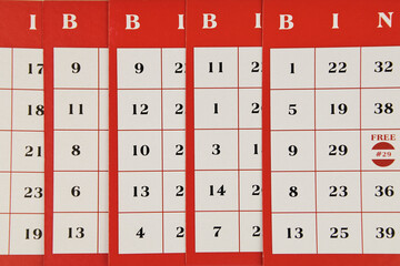 Cardboard of the entertaining bingo game, red with black numbers on a white background