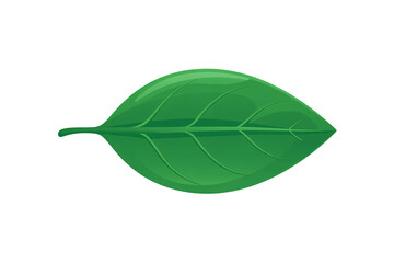 Vibrant green leaf showcases freshness and natural beauty icon design