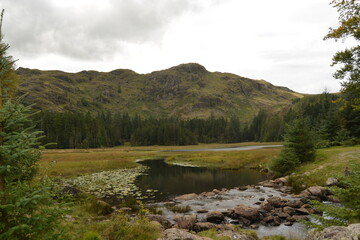 A Stunning mountain and lake view. In The Lake District National Park