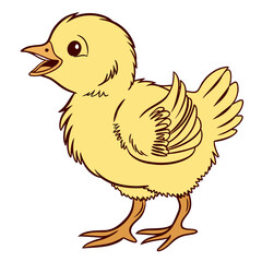 Cute yellow chick standing and chirping loudly