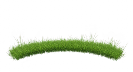 A curved strip of lush green grass, isolated on transparent background