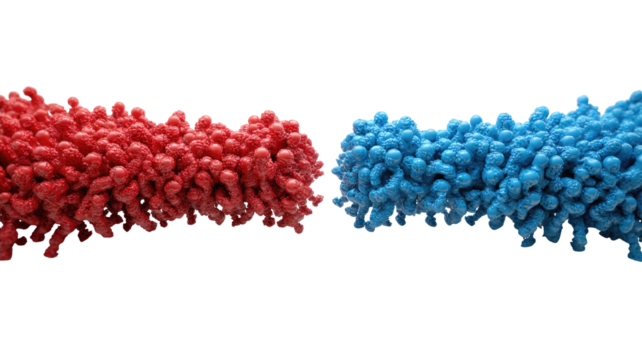 Molecular complex, two segments, red and blue, clustered beads