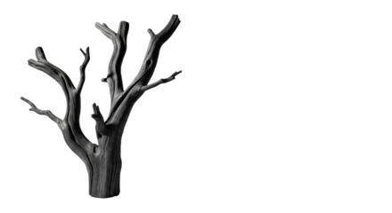 Stark, gnarled charcoal grey petrified wood branches, polished like obsidian, casting crisp shadows on a transparent background with copy space, concept of ancient mystery