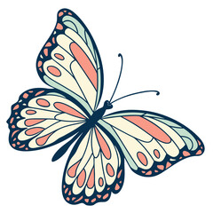 Beautiful butterfly with colorful wings