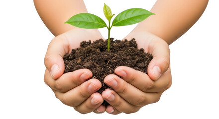 Cupped hands holding a small plant seedling with soil and green leaves, isolated on transparent background