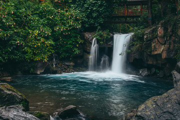 Obraz premium Mexican rainforest. Intense green vegetation. River and waterfall ecosystem. Barranca del Cupatitzio National Park in Uruapan, Michoacán.
