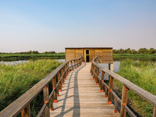 Obraz premium View of the wooden walkways over the water in the Tablas de Daimiel Natural Park (Ciudad Real, Spain)