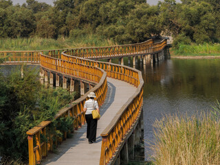 Woman in her 50s wearing a hat, seen from behind, walking on a wooden walkway at the Las Tablas de Daimiel lagoons (Ciudad Real, Spain) in summer
