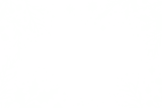 PNG Winter-themed festive holiday background
