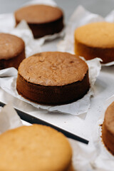 Freshly baked sponge cake layers cooling on parchment paper in a professional bakery kitchen