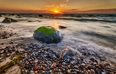 Sea Stone with Green Algae at Sunset