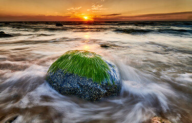 Sea Stone with Green Algae at Sunset