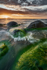 Sea Stone with Green Algae at Sunset