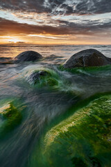 Sea Stone with Green Algae at Sunset