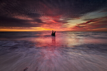 Driftwood in Moody Evening Light at the Coast Weststrand