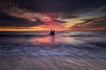 Driftwood in Moody Evening Light at the Coast Weststrand