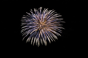 joyful child laughs heartily while gazing at stunning new year fireworks lighting up night sky